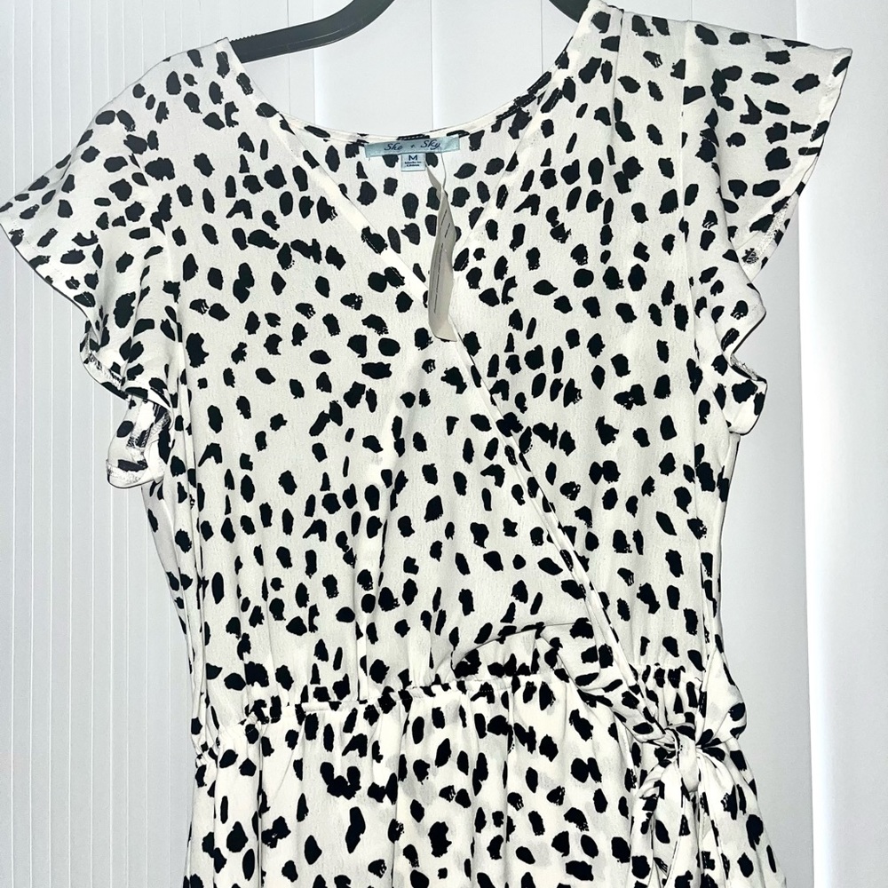 She + Sky Black & White Dress